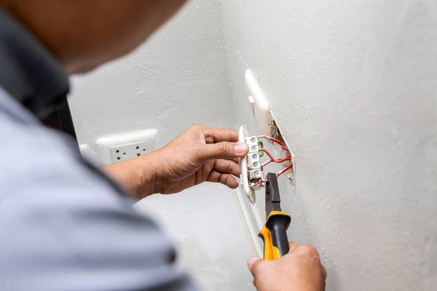 Best Home Electrical Repair  in Bowling Green, FL